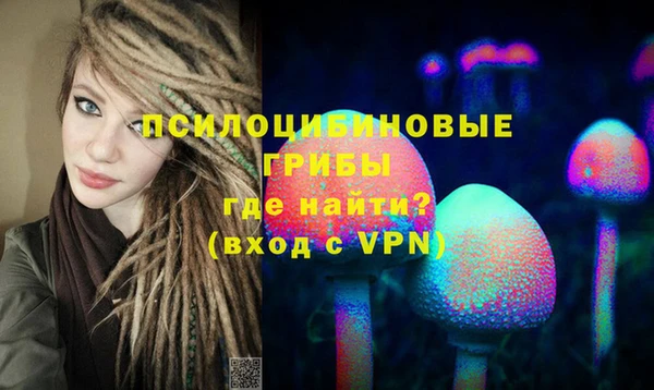 apvp Касимов