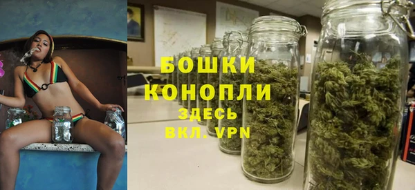 apvp Касимов