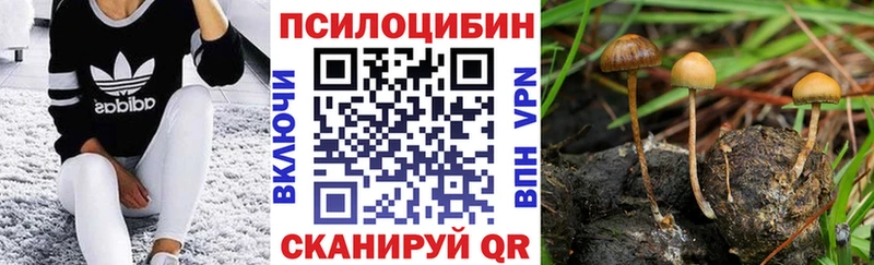 Псилоцибиновые грибы Psilocybine cubensis  Купить где  Уфа 